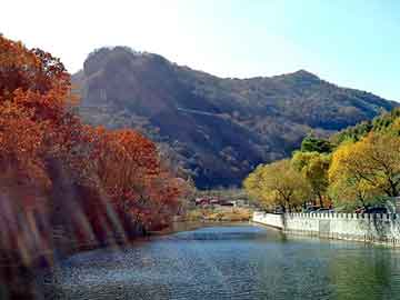 新澳天天开奖资料大全旅游团，cf炸房